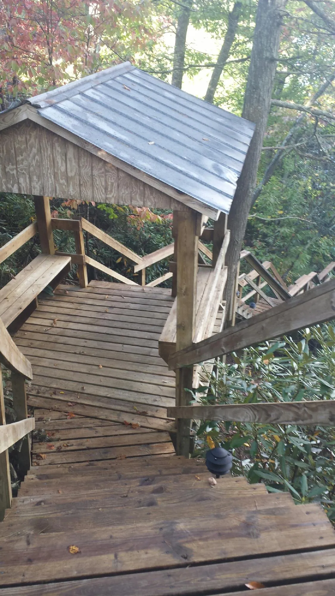 Metal roofed shelter over wooden steps on a wooded walkway in Tarboro