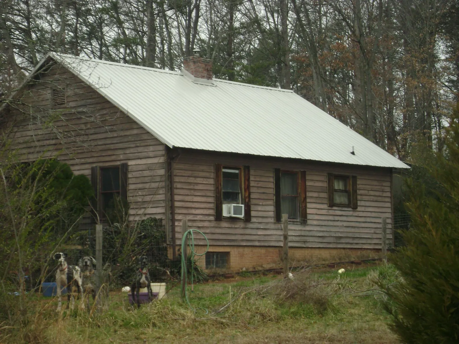 White metal roof on an old wood sided farmhouse, from a Asphalt Shingle Roof Repair job in Tarboro
